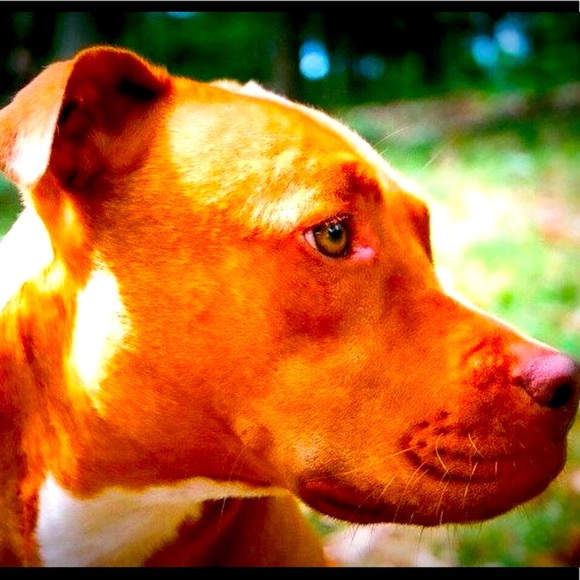 ⚜️House of Ursula⚜️ - Picture 7 of 7